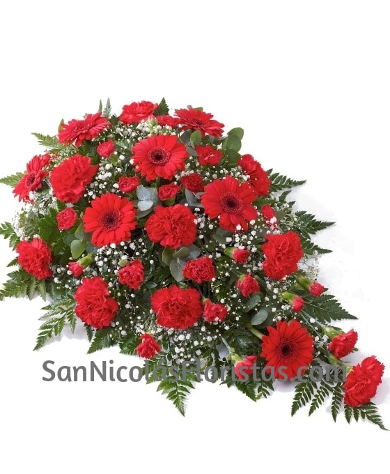 Centro Funerario Rojos