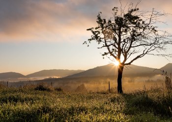 Flores funerarias Murcia