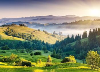 Flores tanatorios de Murcia