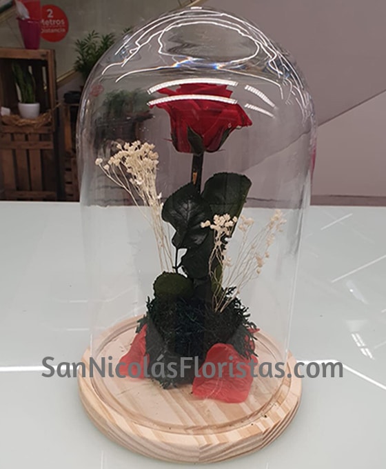 Rosa Preservada en Cúpula de Cristal - San Nicolás Floristas